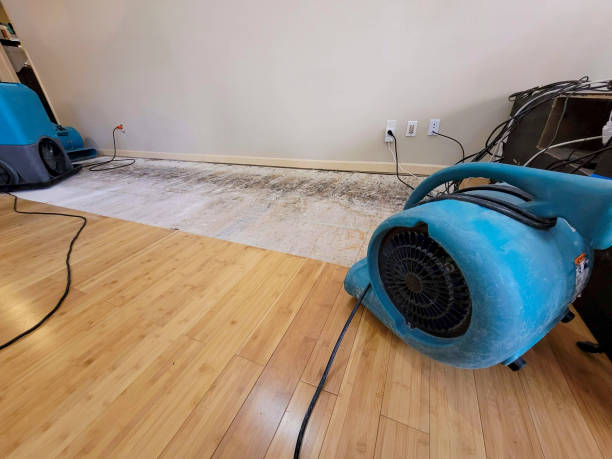 Professional Water Damage Repair technician working in Canonsburg, PA